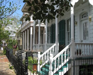 THE GARDEN DISTRICT